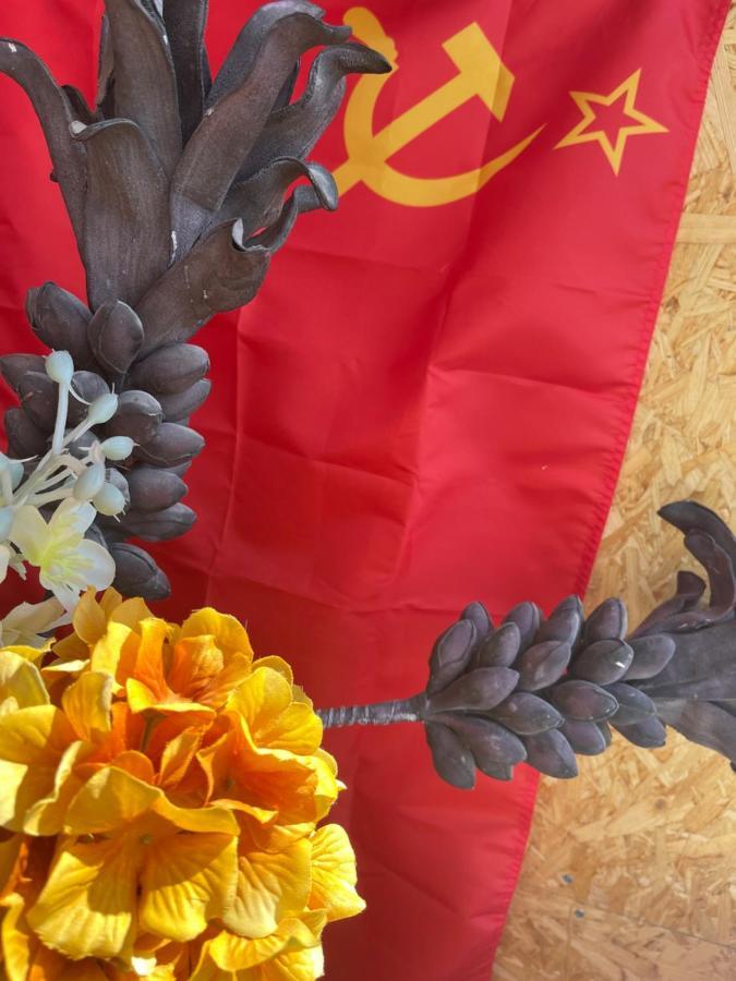 Back To Ussr *